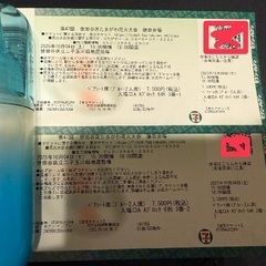 第47回たまがわ花火大会チケット　ペアシート席チケットの画像