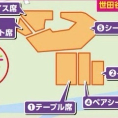 第47回たまがわ花火大会チケット　ペアシート席チケットの画像