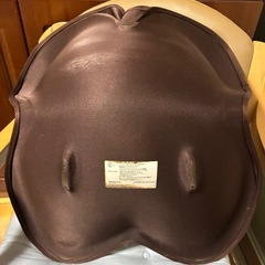 MTG姿勢ケアシート Style Standard スタイル スタンダードの画像