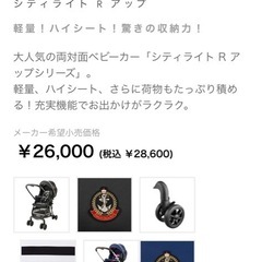 ※お話し中　Ａ型ベビーカー　使用期間短い/荷物大容量（値下げしました）の画像