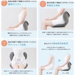 MTG姿勢ケアシート Style Standard スタイル スタンダードの画像
