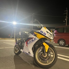 NINJA250rの画像