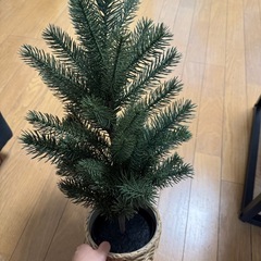 IKEAのミニクリスマスツリーの画像