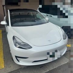 テスラモデル3 RWDチャデモアダプター日本製付の画像