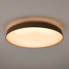 無印良品 LED木製シーリングライト10畳の画像