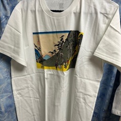 Ｔシャツの画像