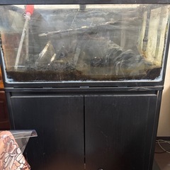 水槽90cm 水槽台　外部フィルターの画像