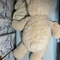 コストコくまのぬいぐるみの画像