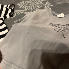 男の子 Tシャツの画像
