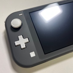 Switch Liteとマリオカート8 コントローラーの画像