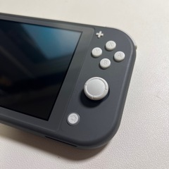 Switch Liteとマリオカート8 コントローラーの画像