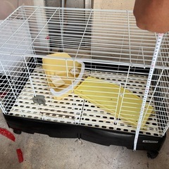 ウサギ小屋の画像