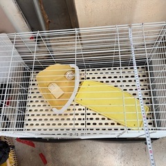 ウサギ小屋の画像
