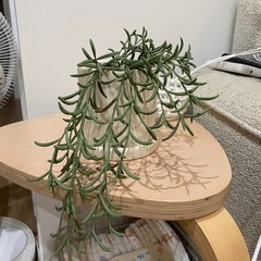【無料】IKEAフェイクグリーンの画像
