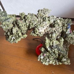 人工ライブロック 90cm以上海水水槽用の画像