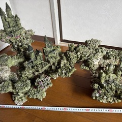 人工ライブロック 90cm以上海水水槽用の画像