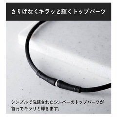 《新品4,000円相当》ピップマグネループMAX50cm メタルシルバー ブラック 首 肩のコリ 血行改善 磁気 maxの画像