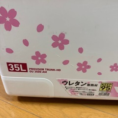 クーラー　秋丸美帆モデル　35L　の画像