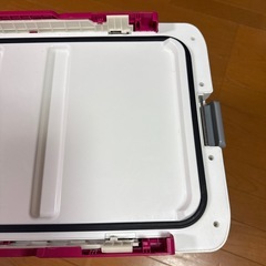クーラー　秋丸美帆モデル　35L　の画像
