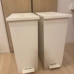 KEYUKA 45ℓ対応ゴミ箱2個セットの画像