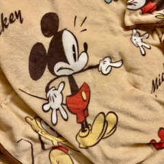 毛布 ディズニー ミッキー ミニー 薄手 軽量 セガ景品130×220の画像