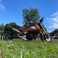 ホンダグロム ロンスイの画像