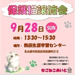 猫の譲渡会