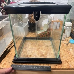 小型ガラスケージ　爬虫類　虫　しいくけーす飼育ケースの画像