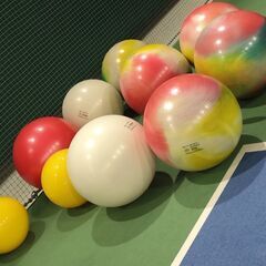 【9/30、10/24、10/30】バランスボールエクササイズの画像