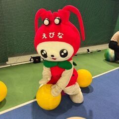 【9/30、10/24、10/30】バランスボールエクササイズの画像