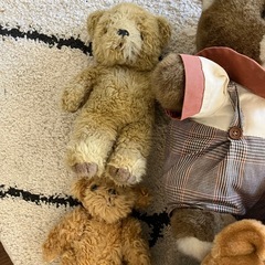 ぬいぐるみ　いろいろ
　の画像