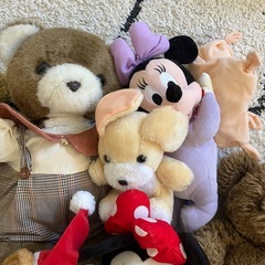 ぬいぐるみ　いろいろ
　の画像