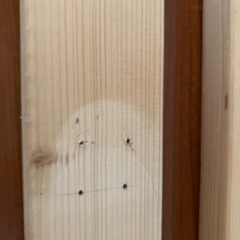 2×4 木材　200cm 2本の画像