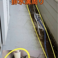 ベランダのコケ落とし清掃の画像