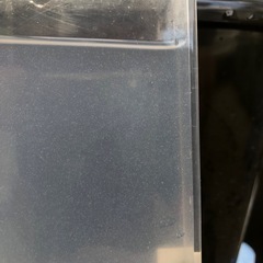 ゾウリムシの画像
