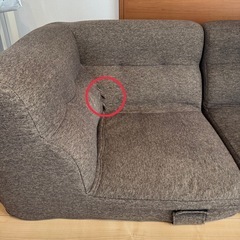 【ニトリ】ローソファーの画像