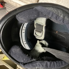 欲しい人 いますか？の画像