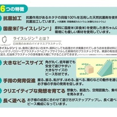 アンパンマン 自然の恵 お米からうまれたつみきDXの画像
