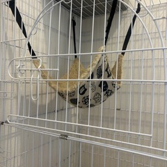 猫ゲージトイレ爪研ぎベッド付きの画像