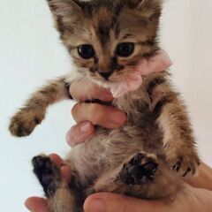 ♡🆕動画有り♡一緒にネンネの甘えっ子