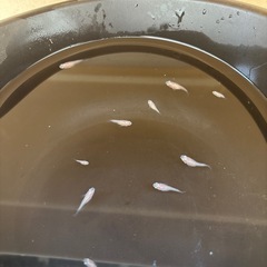 感謝をこめて✨️の画像