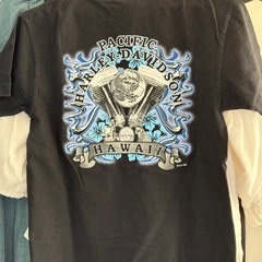 ハーレーダビットソンTシャツの画像