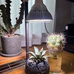 🪴植物育成ライト🔦の画像