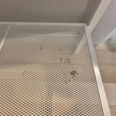IKEA スチールラック
の画像