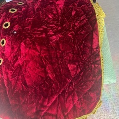 フソウスーパーグレートの画像