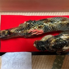 龍の置物　干支の画像