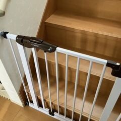 スチールゲートの画像