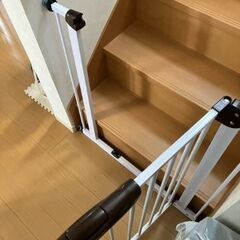 スチールゲートの画像