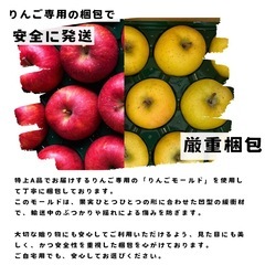 【青森県産】【送料無料】 【産地直送】【早生ふじ】【家庭用】【厳重梱包】【5KG】の画像
