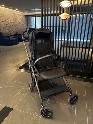 サイベックス　メリオカーボン　ブラック